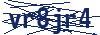 captcha1