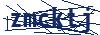 captcha1