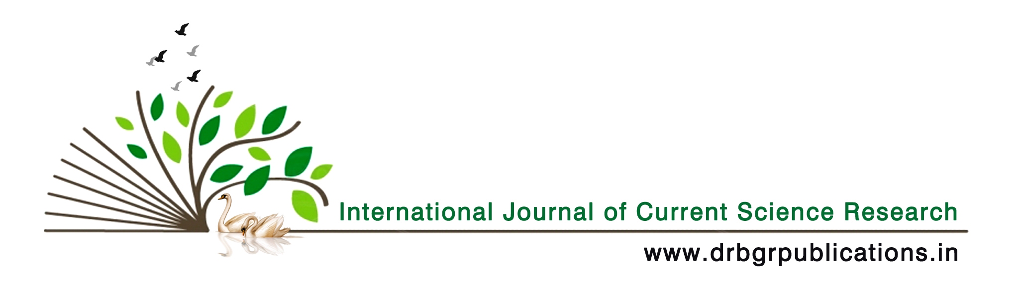 international journal of current research review